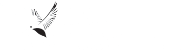 Invest Montserrat