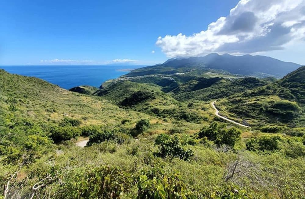 Panoramic view from Silver Hills
